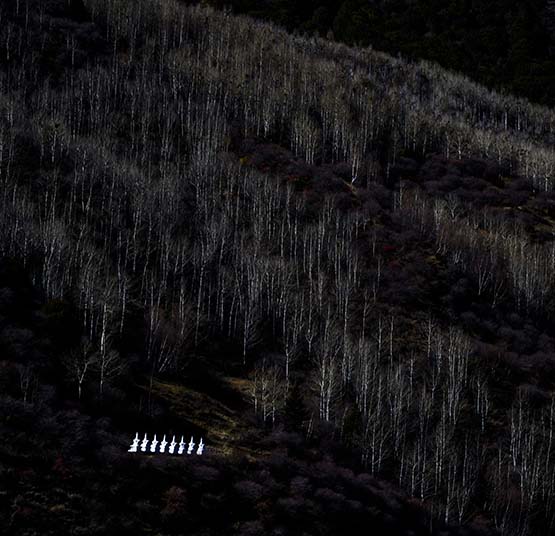 010白塔01（白黒）