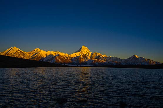 007ミニヤコンカ