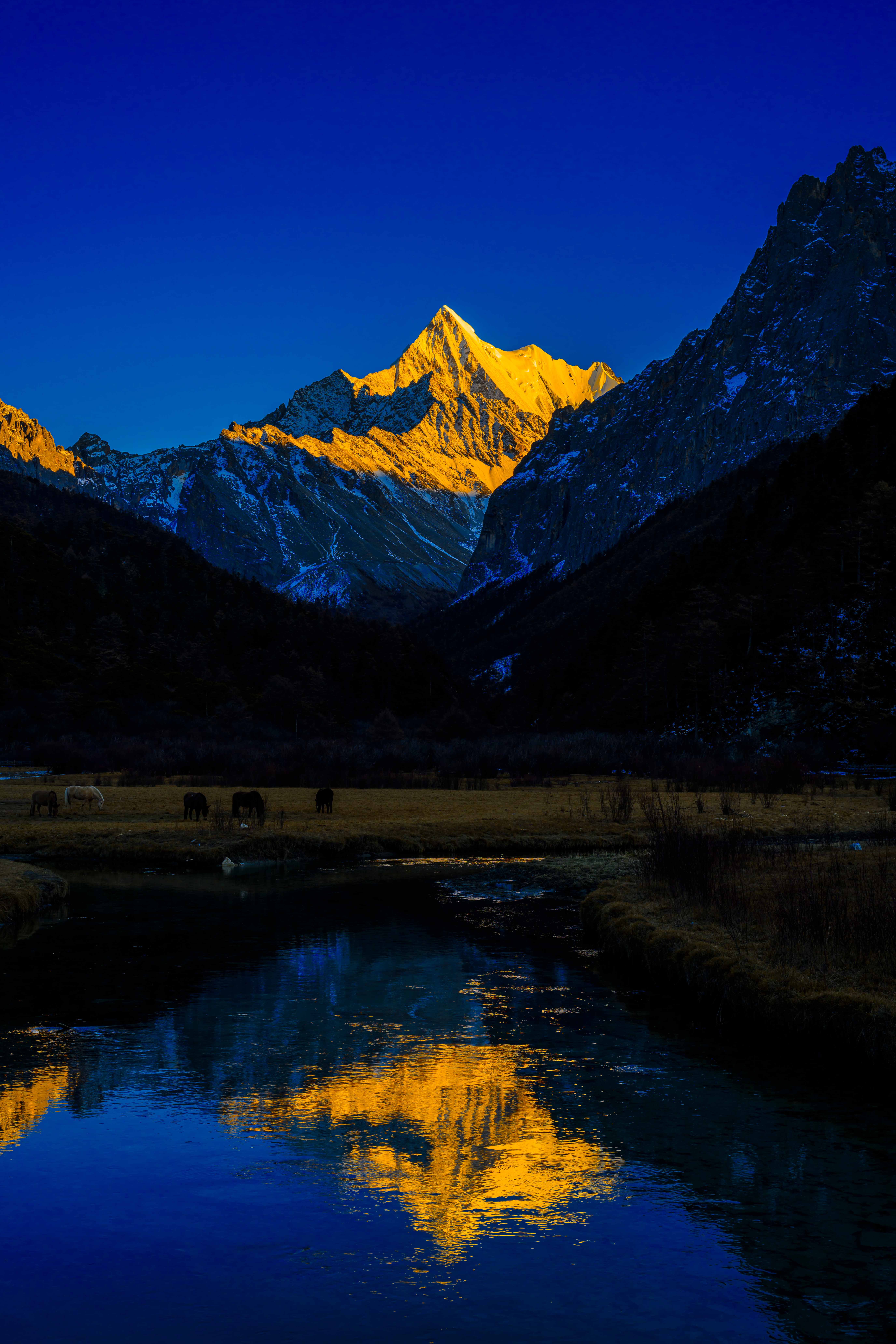 002夏诺多吉雪山 03